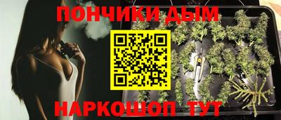индика Балашиха