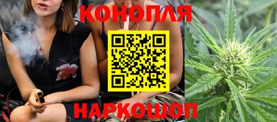 индика Балашиха