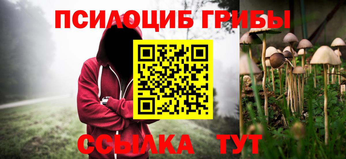 Псилоцибиновые грибы GOLDEN TEACHER  купить   Великий Устюг 