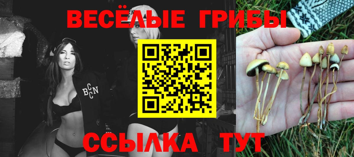 Псилоцибиновые грибы Magic Shrooms Великий Устюг